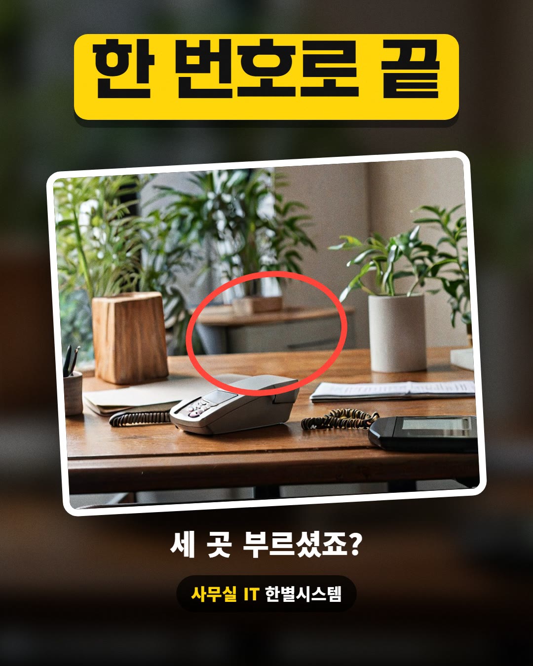 한 번호로 끝 · 세 곳 부르셨죠?
